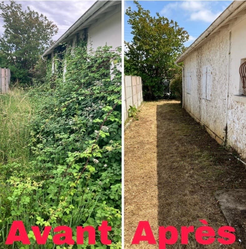 Avant et après : nettoyage d'un jardin sauvage révélant le mur d'une maison blanche.
